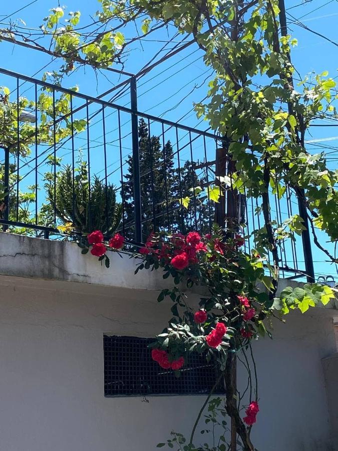 ホテル Naziti House バトゥーミ エクステリア 写真